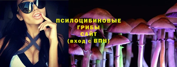 дурь Арсеньев