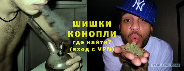 дурь Арсеньев