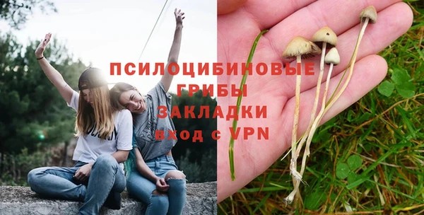 дурь Арсеньев
