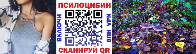 где можно купить Снежинск Псилоцибиновые грибы мицелий